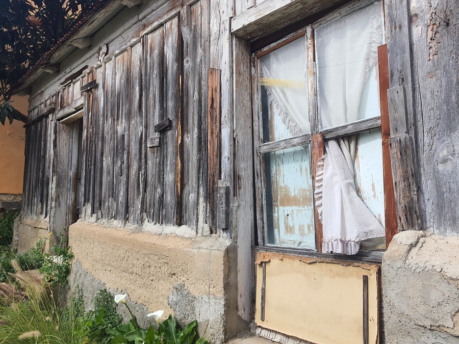 Il bollettino settimanale: focus sulla baracca storica e su parco Magnolia FOTO E VIDEO