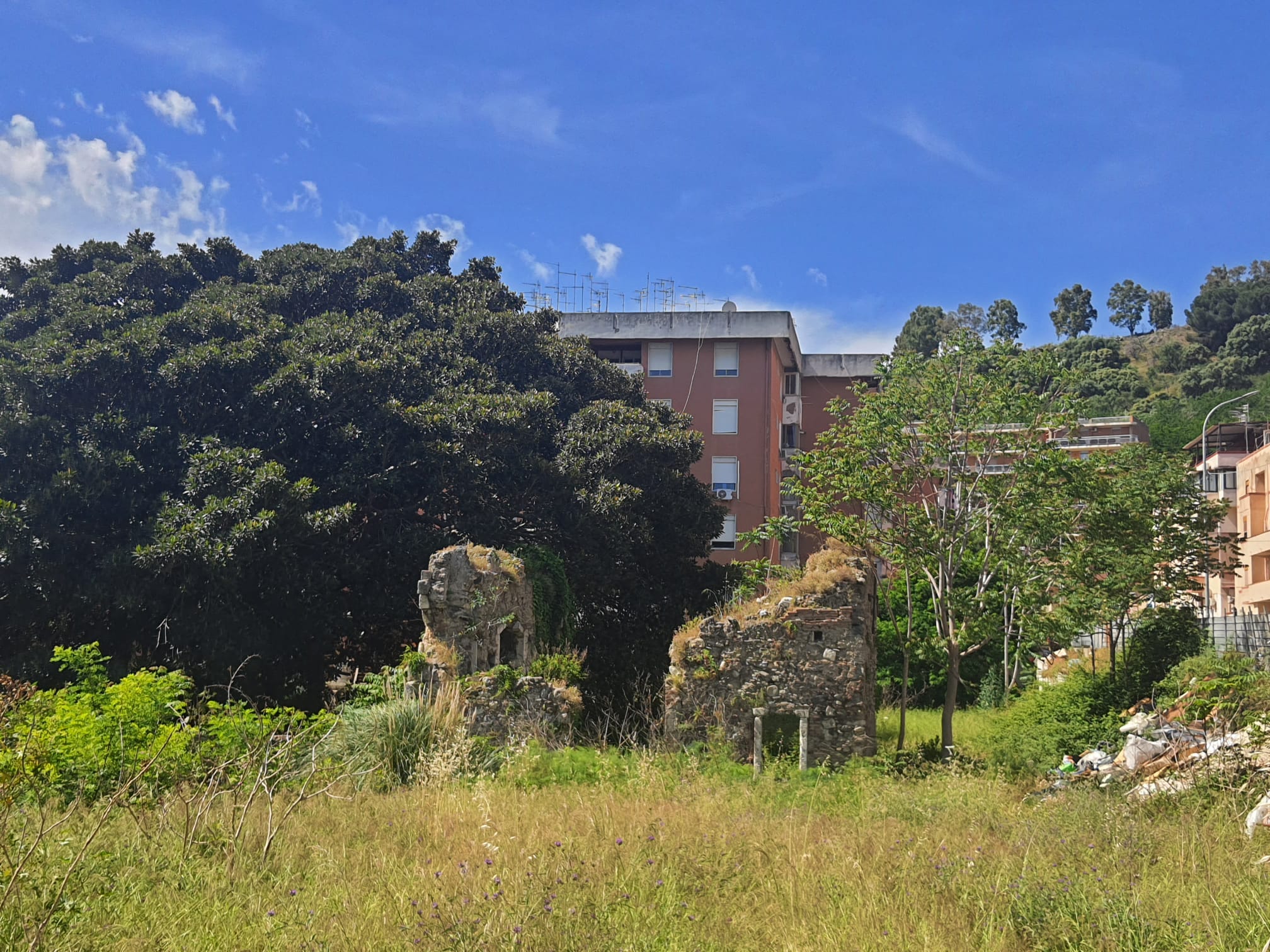 Bollettino settimanale: novità su Parco Magnolia e Fondo Saccà